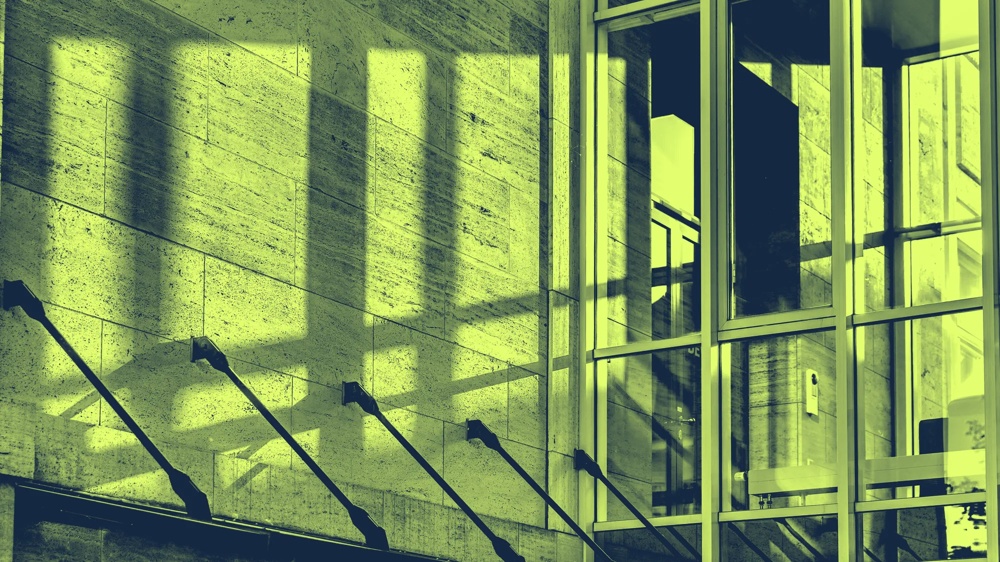 Grüne Schatten und Spiegelungen auf Glasfassade eines modernen Gebäudes.