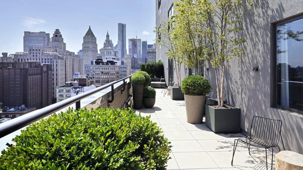 Dachterrasse mit Pflanzen, Stühlen und Blick auf die Skyline einer Stadt bei klarem Himmel.