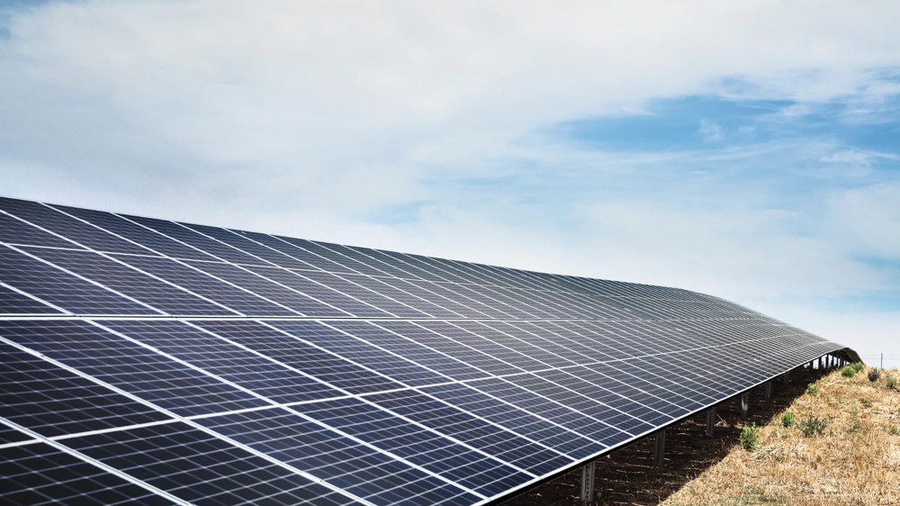 Solar modules under a blue sky.