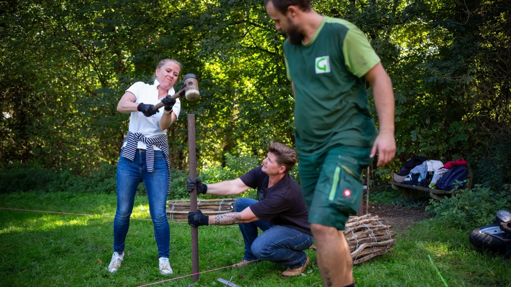 People build a fence in the forest; a woman hits a post with a hammer.