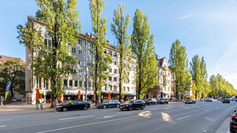 Straße mit Autos, hohen Bäumen und mehrstöckigen Gebäuden bei klarem Himmel.