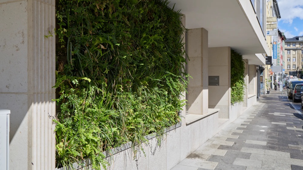 Vertikale Begrünung an der Erdgeschossfassade der Büroimmobilie Schäfergasse 33 in Frankfurt am Main – üppige Pflanzenwand aus Farnen und Stauden entlang des Gehwegs – ein hausInvest-Objekt.