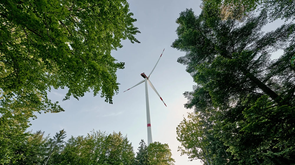 Drei Windräder stehen vor einem blauen Himmel über einem grünen Wald.