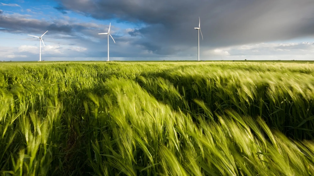 Green meadow with three windmills under a cloudy sky.