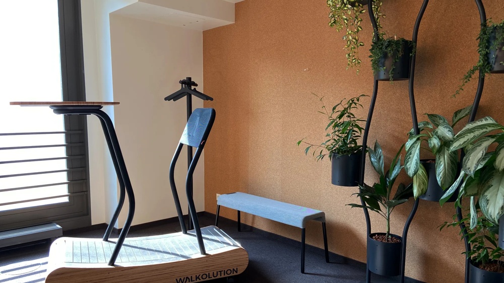 A treadmill with a standing desk, next to it a bench and hanging plants in a sunny room.