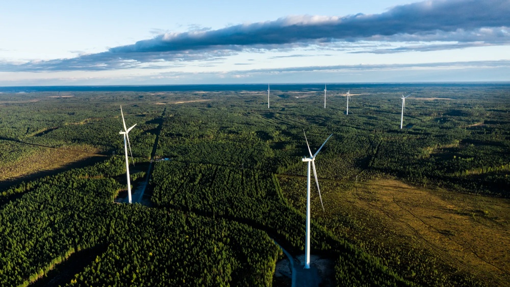 Windpark auf grünen Feldern aus der Vogelperspektive