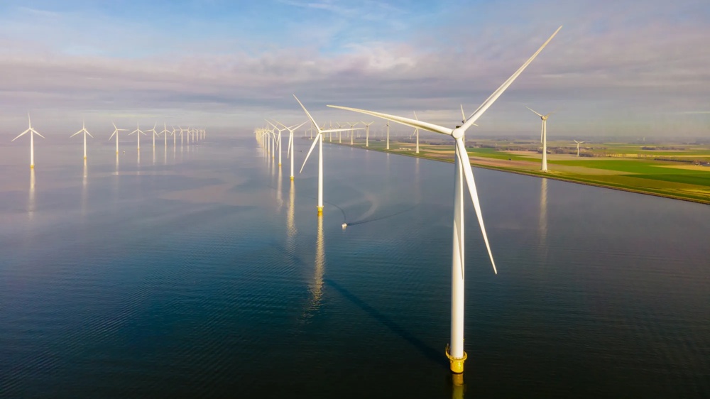 Windpark mit vielen Turbinen im Wasser, daneben grüne Felder unter bewölktem Himmel.