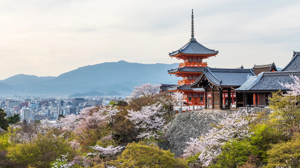 Traditioneller Tempel auf Hügel mit blühenden Kirschbäumen, Blick über Stadt und Berge in ruhiger Frühlingsstimmung.