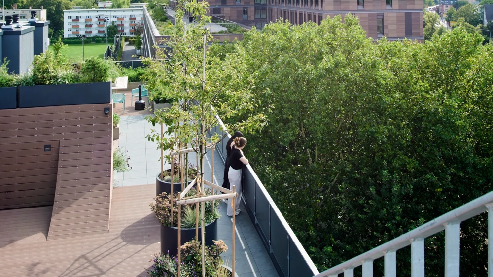 A person standing on a green roof terrace next to large potted plants, surrounded by trees and modern buildings.