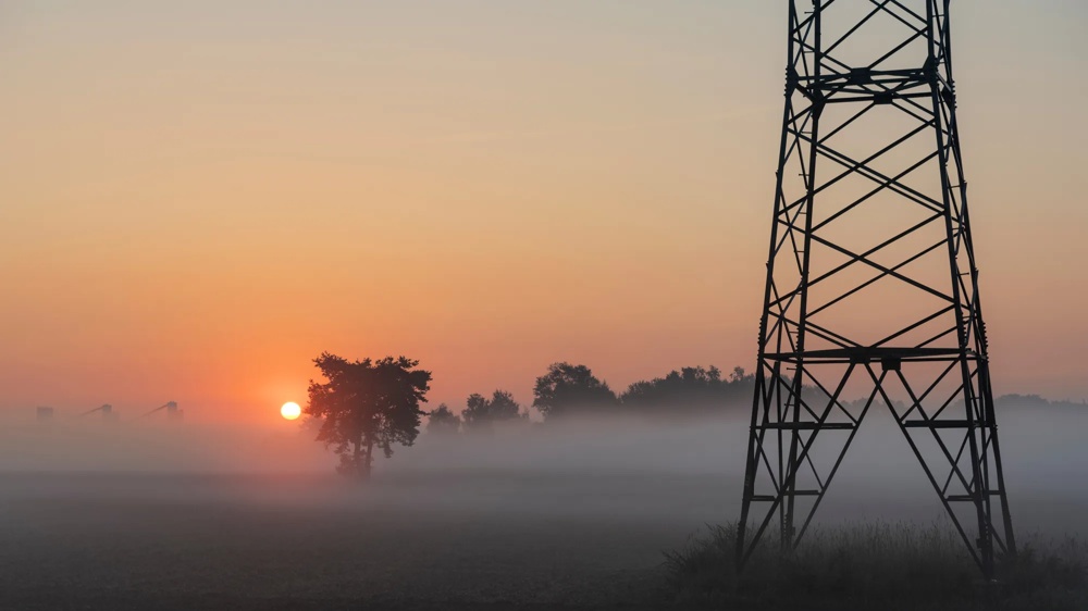 Sonnenaufgang über nebligem Feld mit Baum und Strommast im Vordergrund.