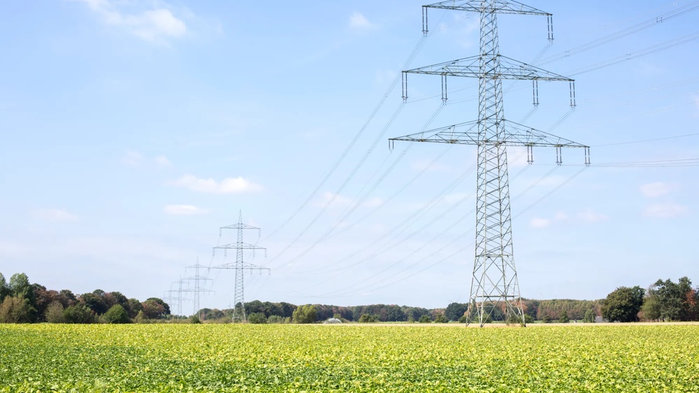 Power poles stand on a wide field under a blue sky with isolated clouds.