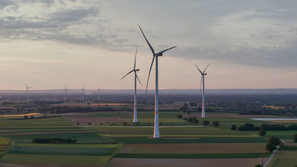Zwei Windräder stehen auf weiten, grünen Feldern unter blauem Himmel.