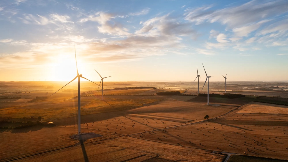 Windräder in einem goldenen Weizenfeld unter blauem Himmel bei Sonnenschein.