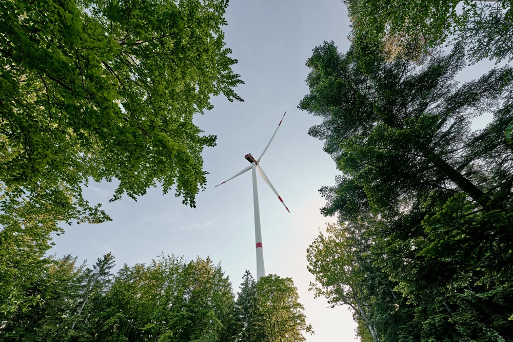 Drei Windräder stehen vor einem blauen Himmel über einem grünen Wald.