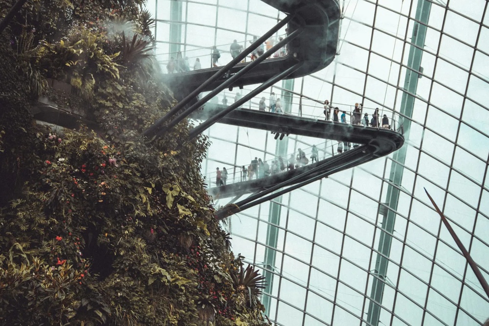 A lush, vegetated hill in a greenhouse with winding walkways full of people.