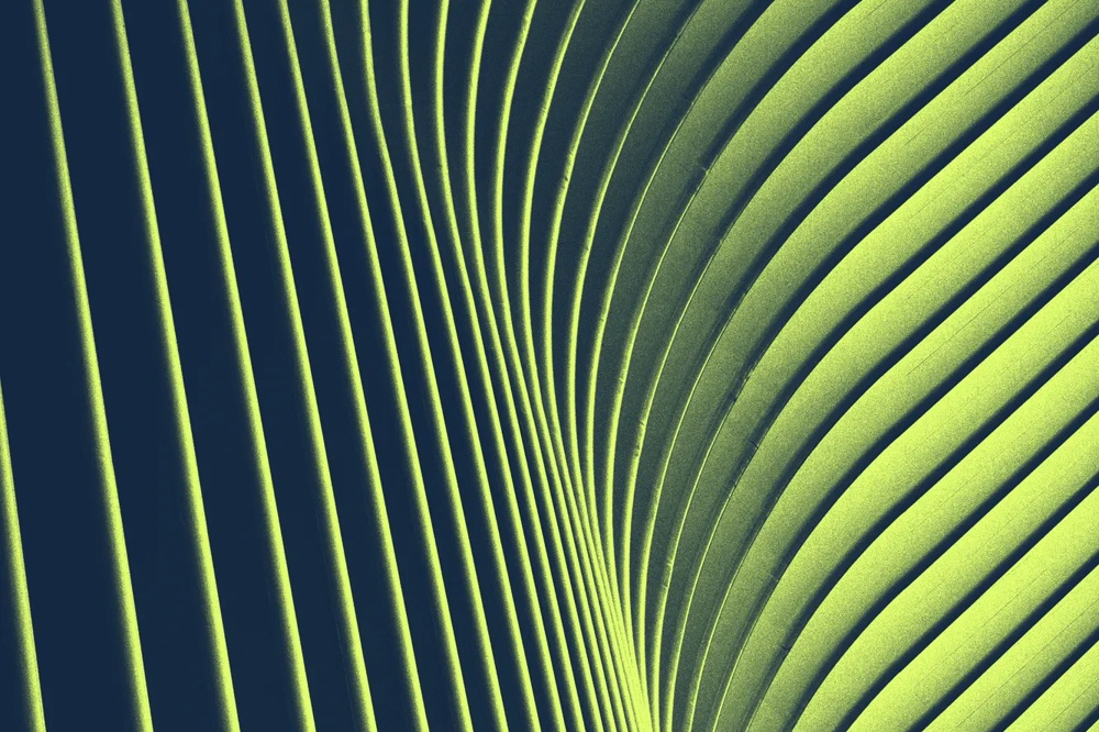 Grüne, geschwungene Linien bilden ein abstraktes Muster auf dunklem Hintergrund.