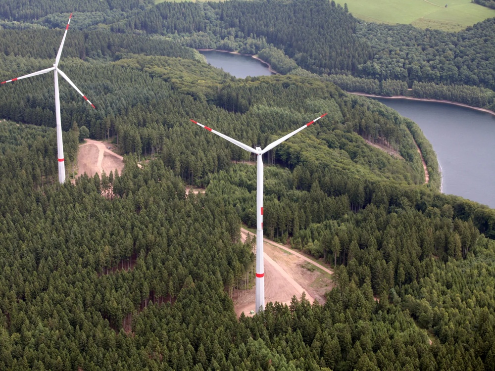 Zwei Windräder stehen in einem dichten Wald nahe einem Fluss oder See.