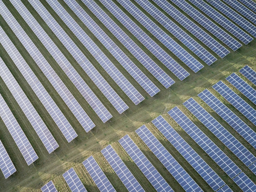 Luftaufnahme von Reihen blauer Solarpaneele auf grünem Gras.