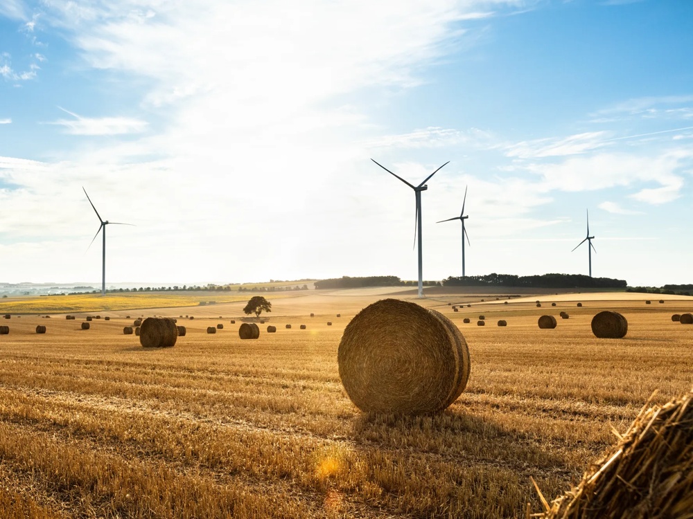 Windräder auf weiten Feldern unter klarem Himmel in ländlicher Landschaft.