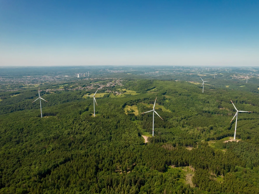 Windräder stehen in einem weitläufigen, grünen Wald unter klarem, blauem Himmel.