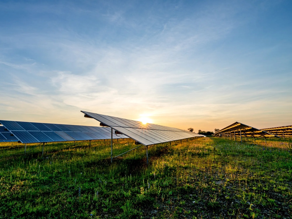 Solarpaneele auf einem Feld bei Sonnenuntergang, mit blauem Himmel und grüner Wiese.