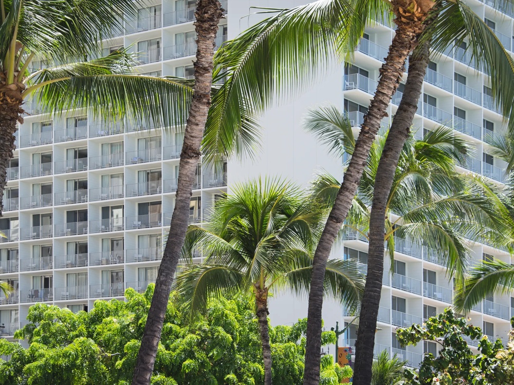 Hohe Palmen vor einem modernen Gebäude mit vielen Balkonen und Glasfenstern.