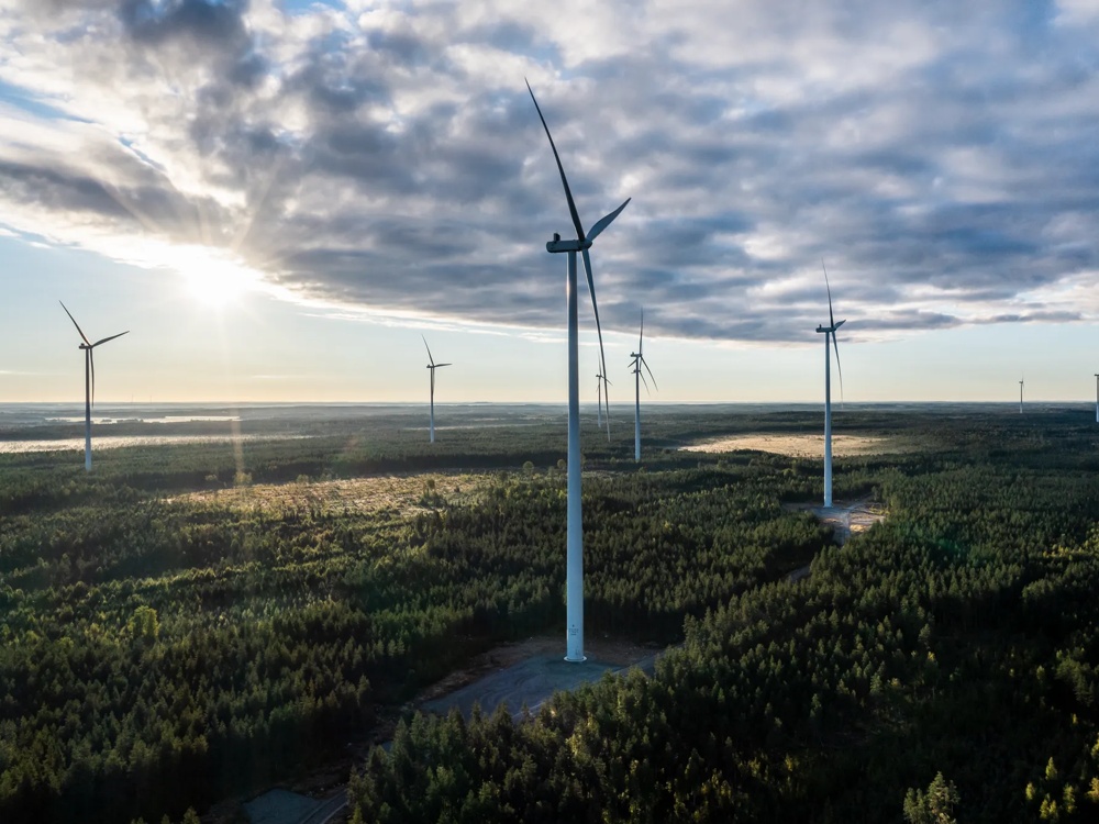 Windräder stehen in einer grünen Waldlandschaft unter einem bewölkten Himmel mit Sonnenstrahlen.