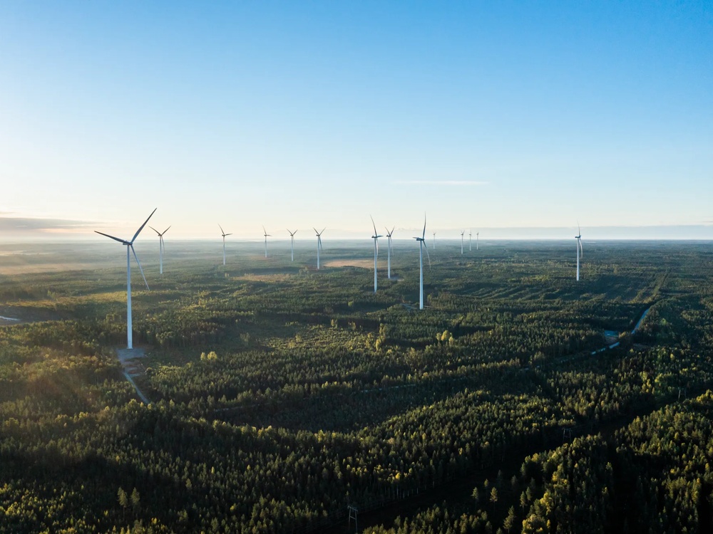 Windräder stehen in einer grünen Waldlandschaft unter klarem Himmel.