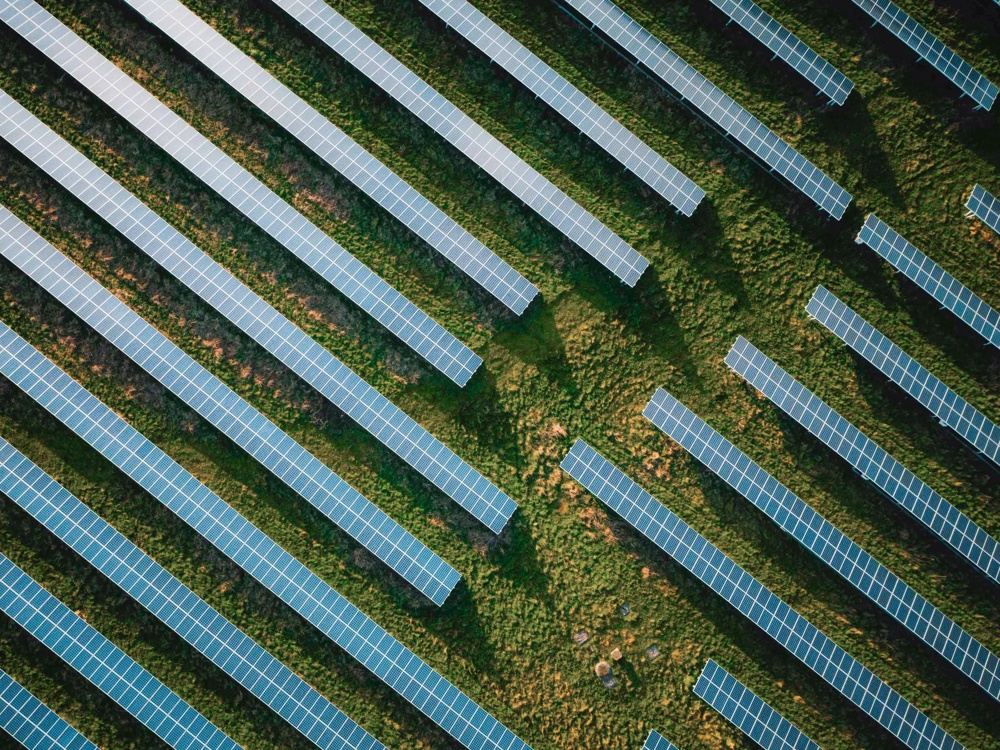 Reihen von Solarpaneelen auf grünem Gras, aus der Vogelperspektive.
