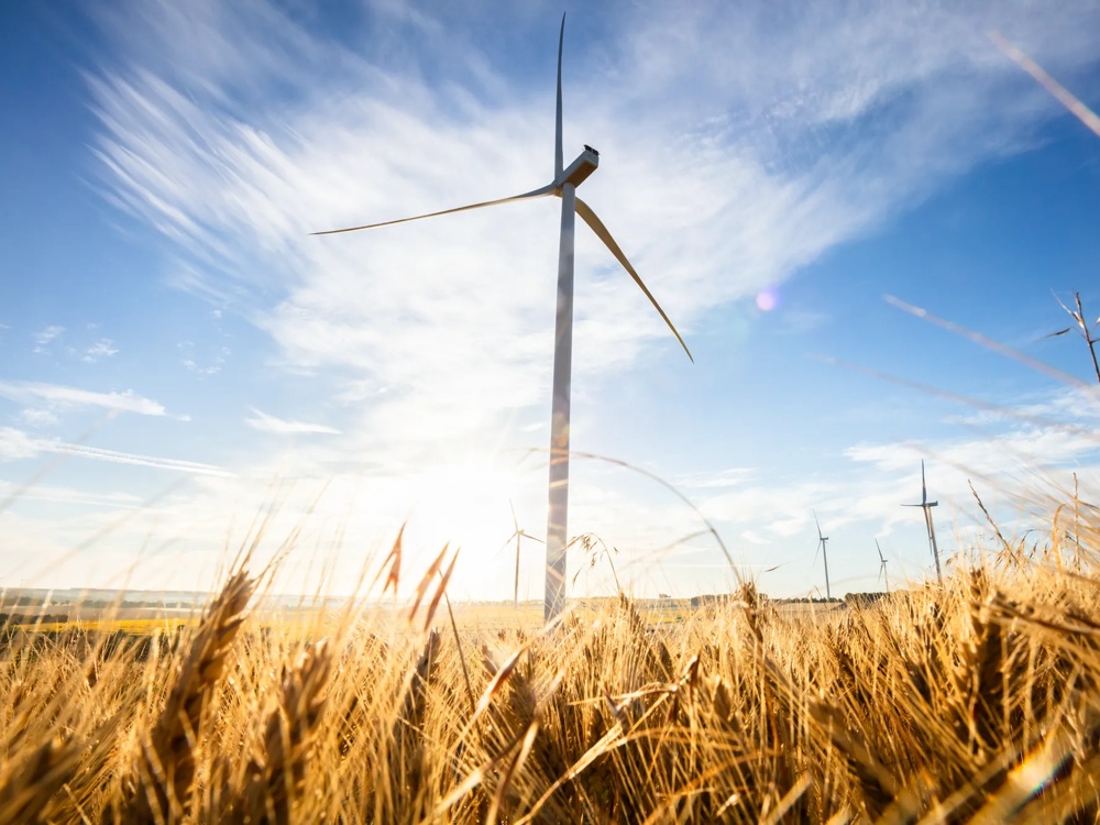 Windräder stehen auf einem weiten Feld mit grünen Bäumen im Vordergrund und klarem Himmel im Hintergrund.
