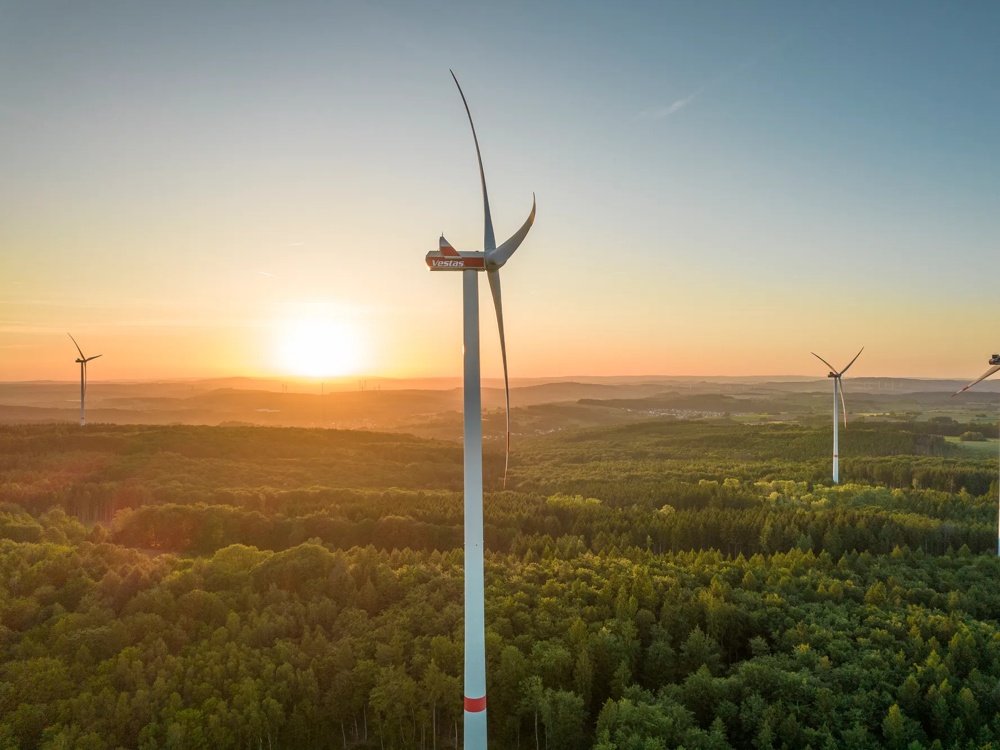 Windräder über einem Wald bei Sonnenuntergang, mit sanftem Licht am Horizont.