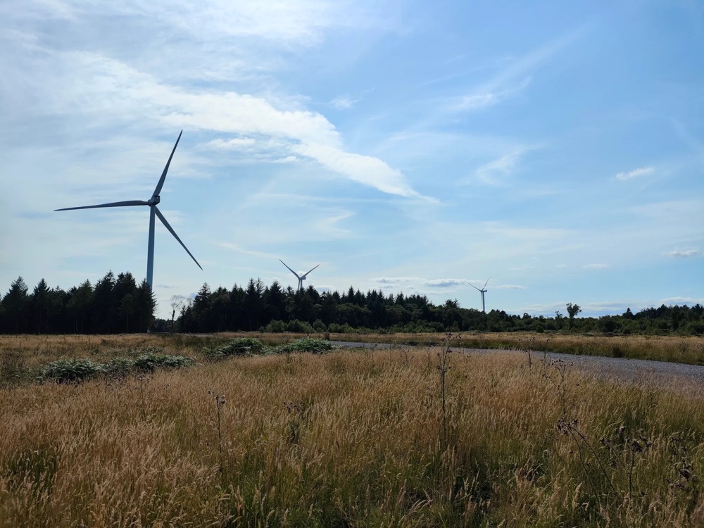 Windräder über einer weiten Wiese mit hohem Gras und locker bewölktem Himmel.