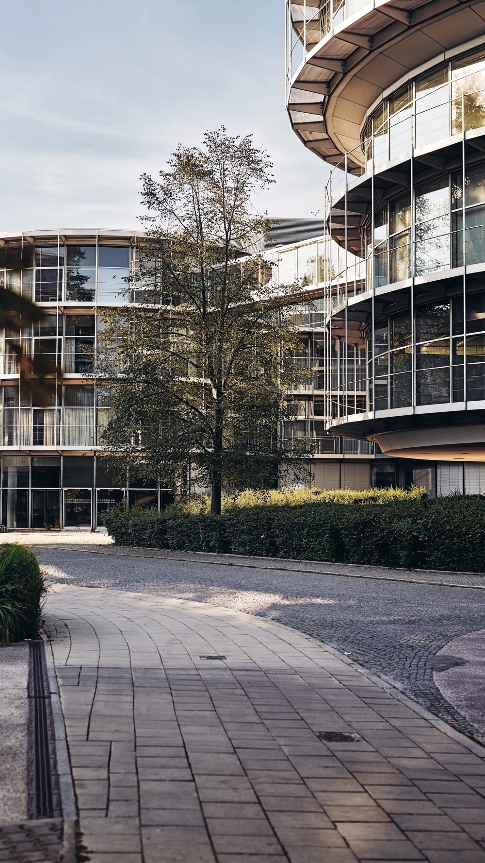 Modern glass facade with trees and pavement in the foreground.