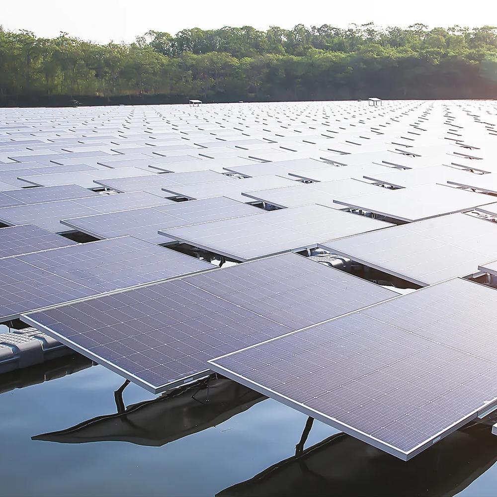 Floating solar panels on a lake, surrounded by trees in sunlight.